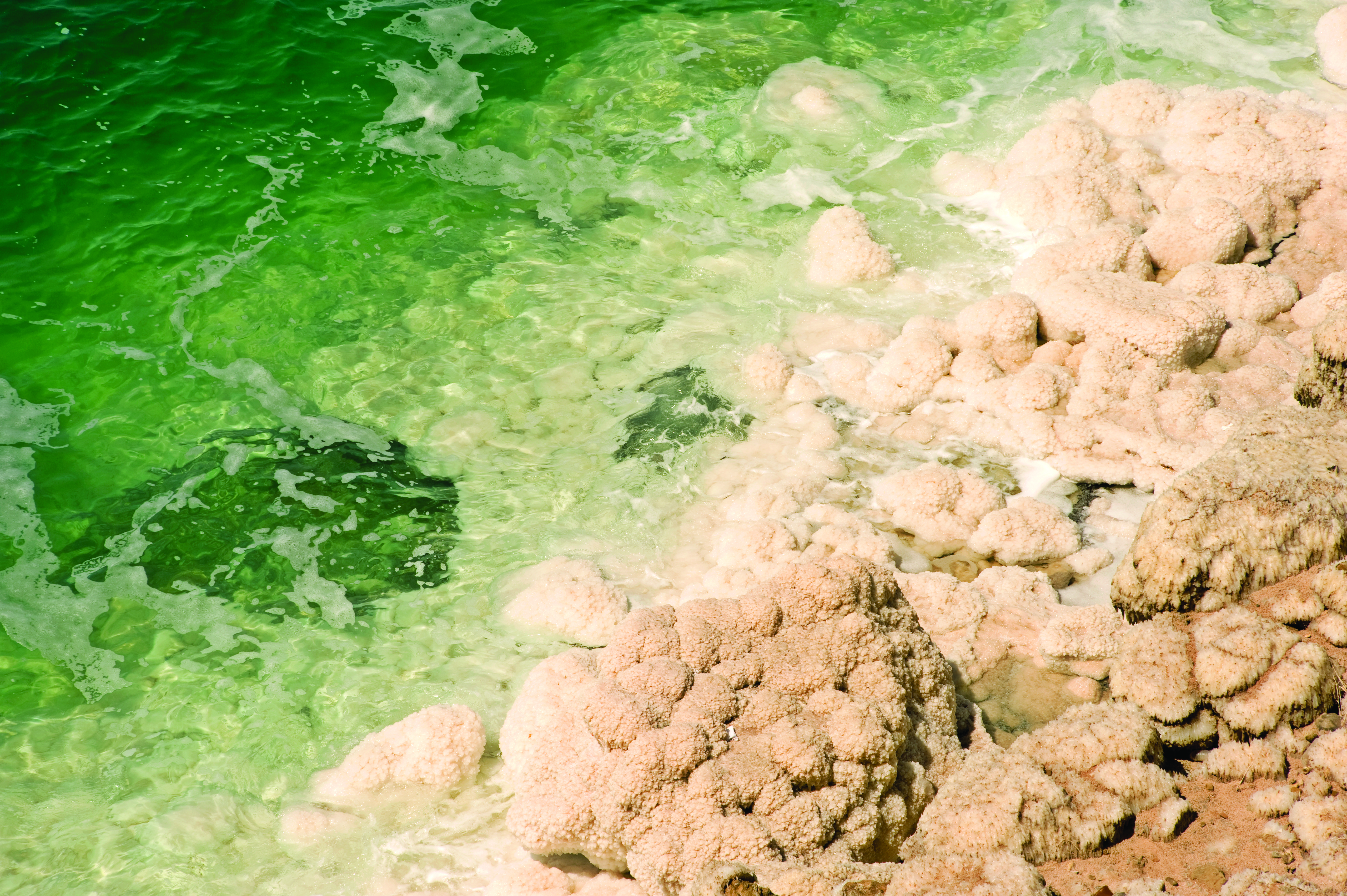 Dead Sea